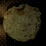 2020-04-06 07.41.57.webp