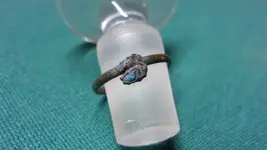 Dicks RIng2.webp