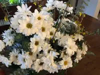 ImageUploadedByTreasureNet.com1583271027.833576.webp