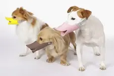 Quack-Duck-Bill-Muzzle-For-Dog.webp