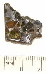 Brahin Pallasite Slice.webp
