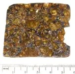 Brahin Pallasite Thin Section.webp