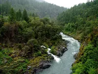 Forks of Salmon.webp