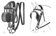 bridle.01.webp