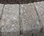 Shellcrete.webp
