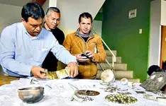 Alcalde-hallazgo-piezas-oro-Peru.webp