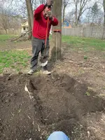 ImageUploadedByTreasureNet.com1586272692.232227.webp