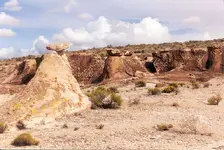 Nevada - Weepah Spring.webp