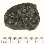 Indochinite Tektite.webp