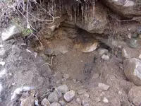100_0473.webp