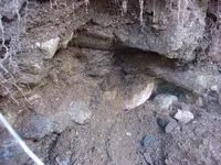 100_0477.webp