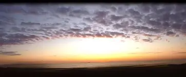 331301_10.webp