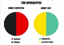 apocalypse-what-i-expected-anarchy-zombies-what-i-got-home-office-toilet-paper.jpg