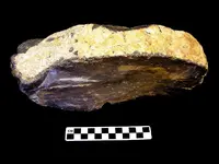 krf nodule.webp