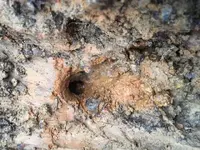 Rust hole.webp