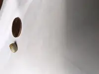 small bullet1.webp
