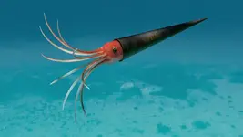 orthoceras-abilio-fernandez.webp