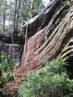 ImageUploadedByTreasureNet.com1583337290.517640.webp