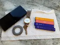 Pulsar watch 2020.webp