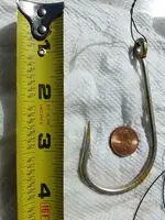 Four Inch hook w 12 ft wire leader 2020.webp