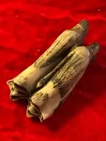 ImageUploadedByTreasureNet.com1587522938.124732.webp