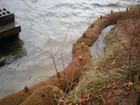 Coir.webp