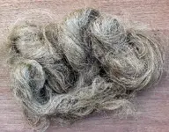 Hemp.webp
