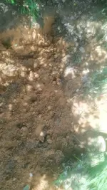 003.webp