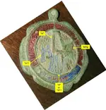A medal.webp
