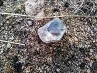 1117191553.webp