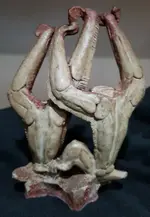 Chimp couple A 1.webp