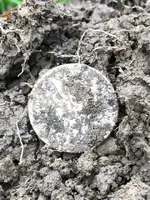 ImageUploadedByTreasureNet.com1587564550.315478.webp