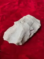 ImageUploadedByTreasureNet.com1584124915.722796.webp