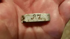 John Hick's Lawn Finds 04-14-20.webp