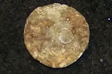 Token.webp