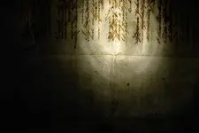 Picture%20004%20(3).webp