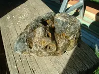 DSCF0001.webp