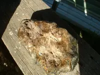 DSCF0003.webp