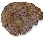 token (2).webp