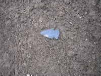 Picture 1168.webp