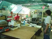 S3011818.webp
