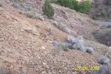 Hidden entrance.webp