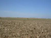 Field finds 5-4-08 003.webp