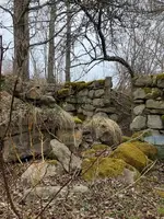 ImageUploadedByTreasureNet.com1587583566.711977.webp