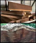 Teak.webp