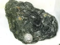 Pollux---A-conglomerate-of-gold-and-silver-co.webp