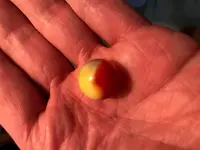 detectMarble.webp