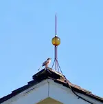 whiteny-plantation-freemans-church-lightning-rod-detail-in-wallace-louisiana-michael-hoard-crop.webp