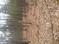 20200409_093915_Burst01.webp