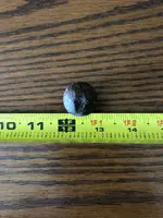 ImageUploadedByTreasureNet.com1586966347.280464.webp